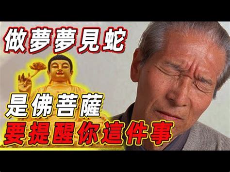 看到蛇要簽幾號|【看到蛇代表什麼數字】看到蛇代表什麼數字？夢境預測539簽注。